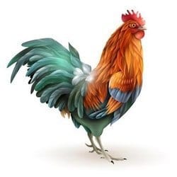 Photo of CockRating, creator on OnlyFans with exclusive content
