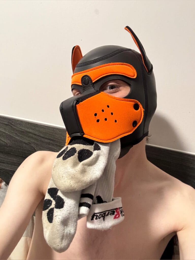 Photo of Pup Maestro, creator on OnlyFans with exclusive content